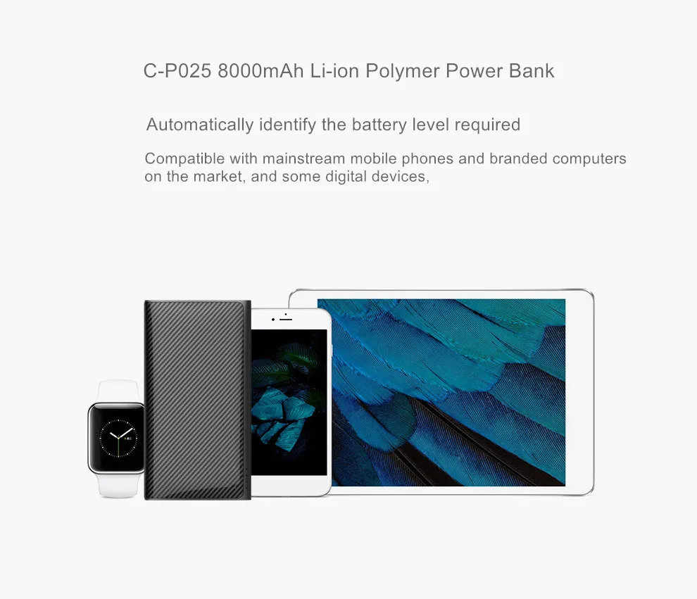 Portable power bank