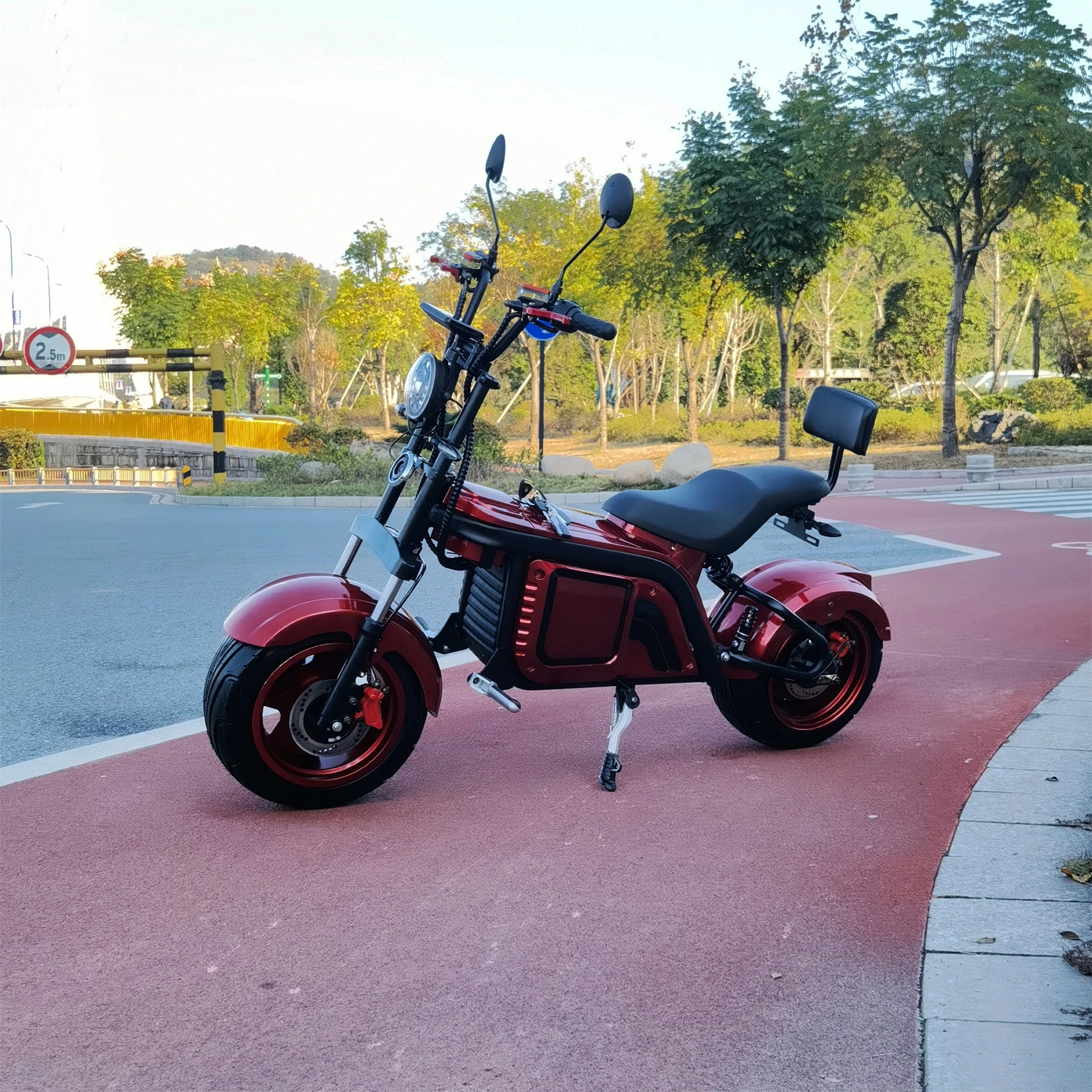 

Hot Electric Motorcycle,Fat Wheel Basic Model Without EEC Citycoco Electric Motorcycle