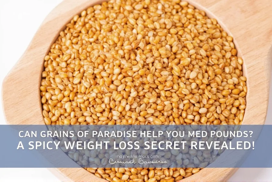 can grains of paradise help you shed pounds a spicy weight loss secret revealed