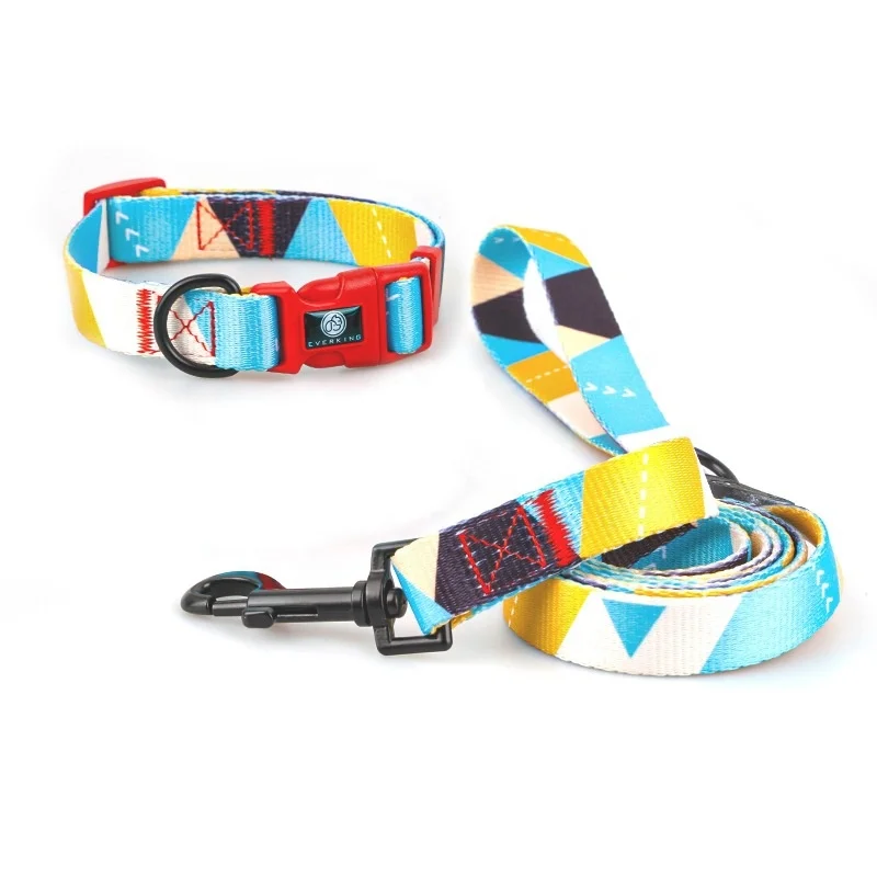

Vivid Nylon Colorful Printed Set Pet Collars And Leashes Dog Leash Pet Collars For Hot Sale