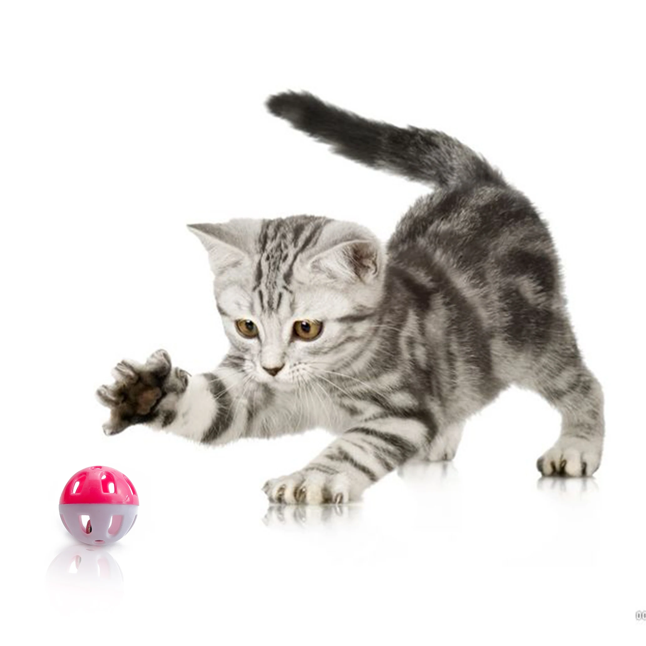 

3.8cm Funny Plastic Ball Interactive Hunt Training Toys, Many color