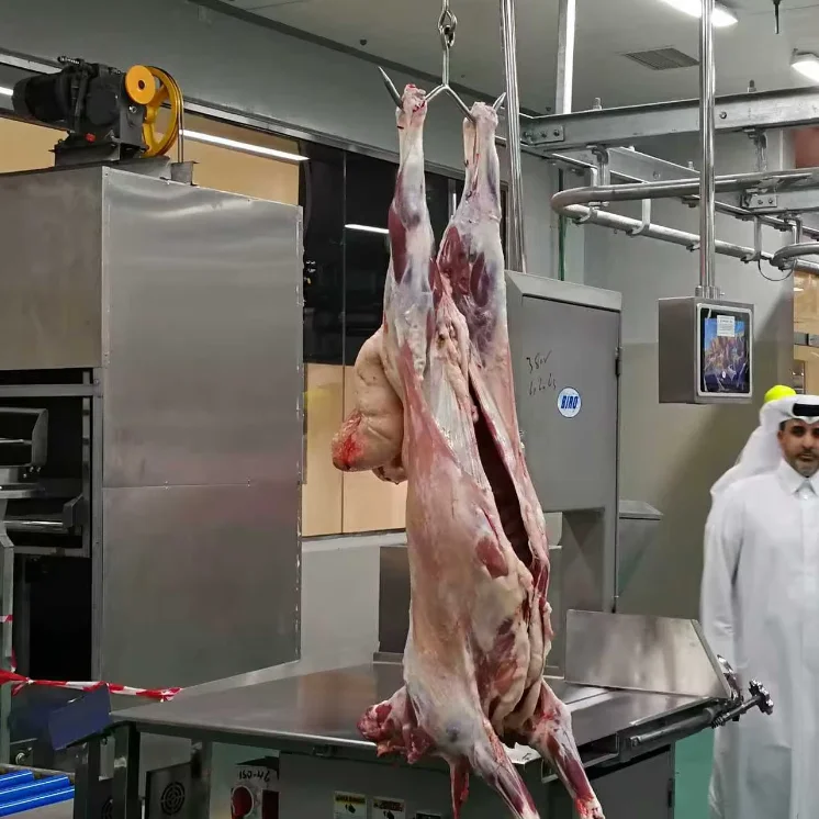 Automatic Halal Sheep Slaughtering Line Complete Goat Abattoir Machine Industrial Sheep Hair RemoveMachine for Meat Plant
