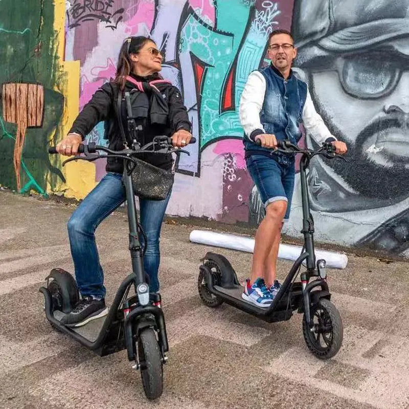 

Tomoloo 80km long rang off road Europe USA EU UK warehouse adult 12 inch fat tire two wheel fast speed electric scooter