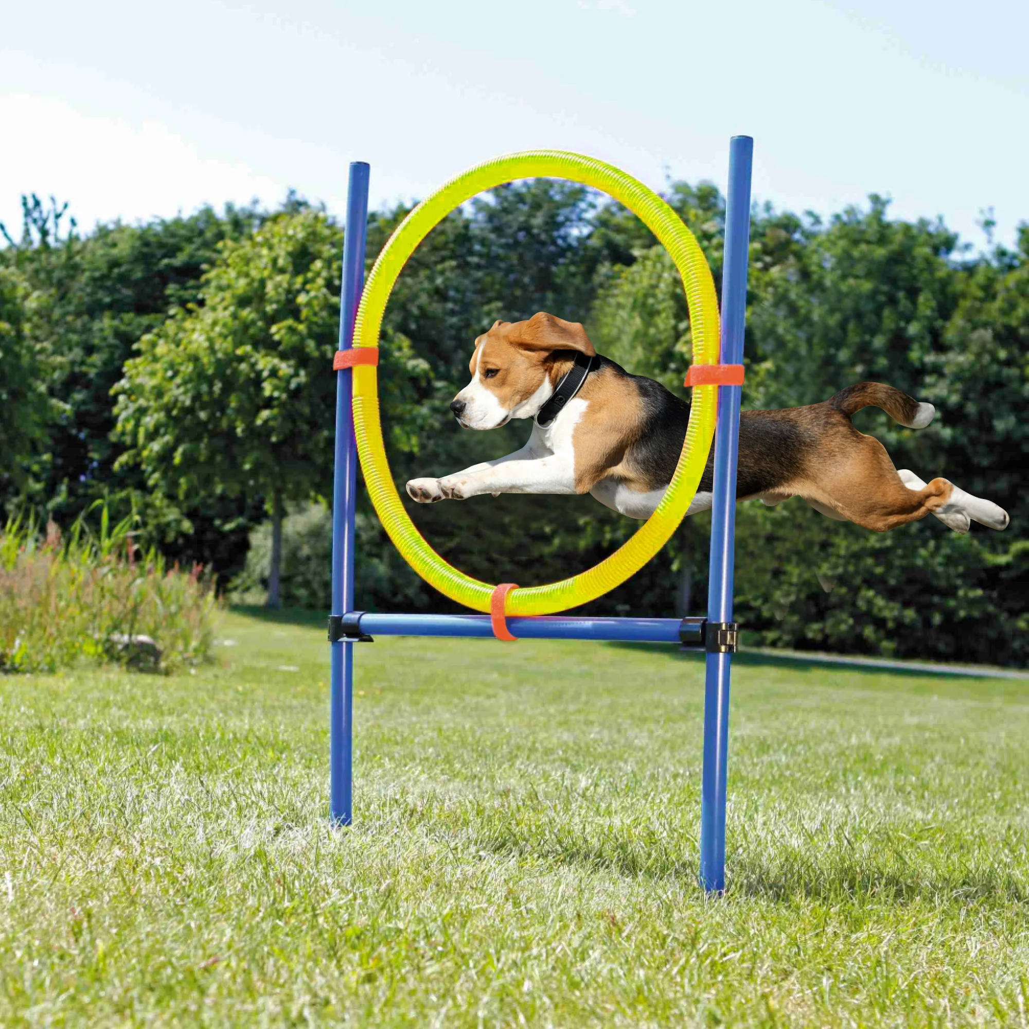 

Pawise Pet Dogs Outdoor Games Agility Exercise Training Ajustable Height Jumping Ring Pet Agility Training Equipment For Dogs, Blue