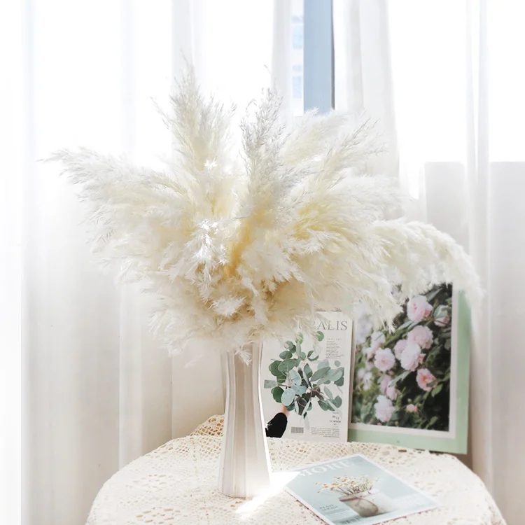 

Natural Dried Pampas Grass Bouquet Dried Flowers Pampas