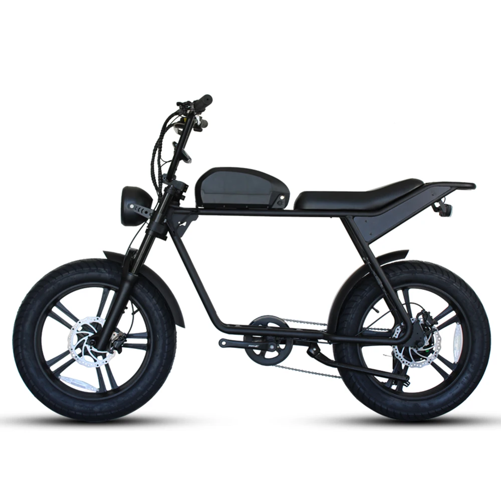 

48v Super Fat Tire 73 Retro Electric Bicycle Ebike Dual Suspension E bike 2 Seater Electric Bicycle