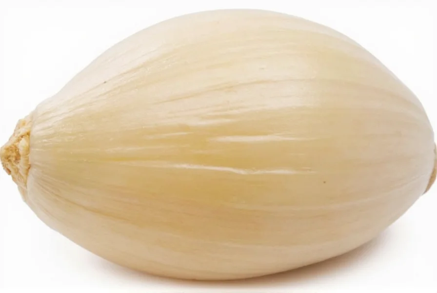 Visual comparison of small, medium, and large garlic cloves with teaspoon measurements