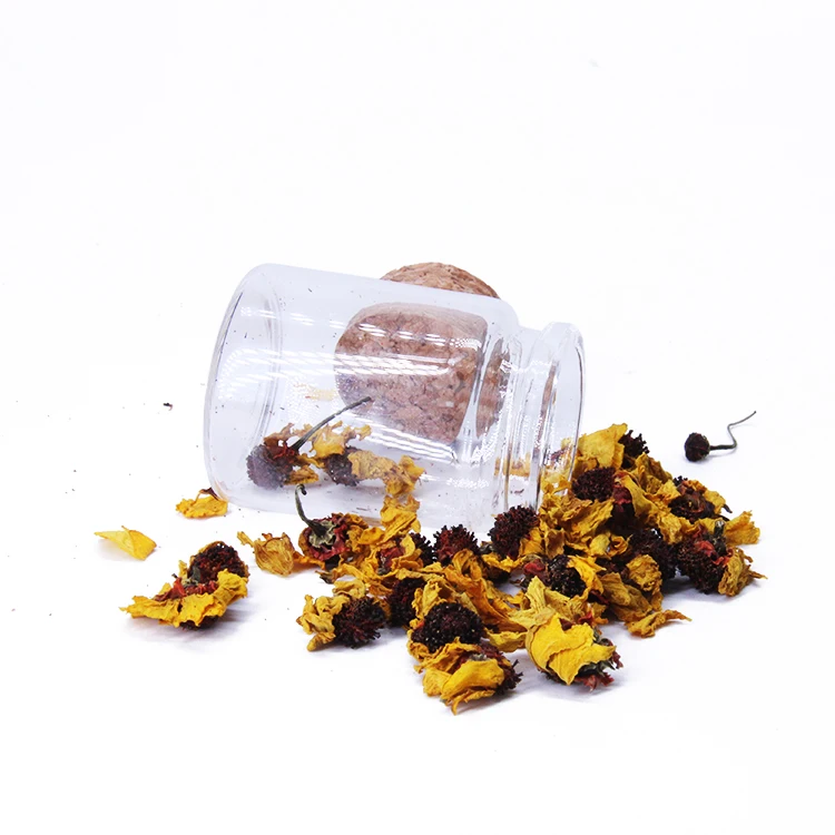 

Borosilicate Clear Small Mini Test Tube Glass Vial Penicillin Glass Jar Wishing Drifting Essential Oil Bottle With Cork lid