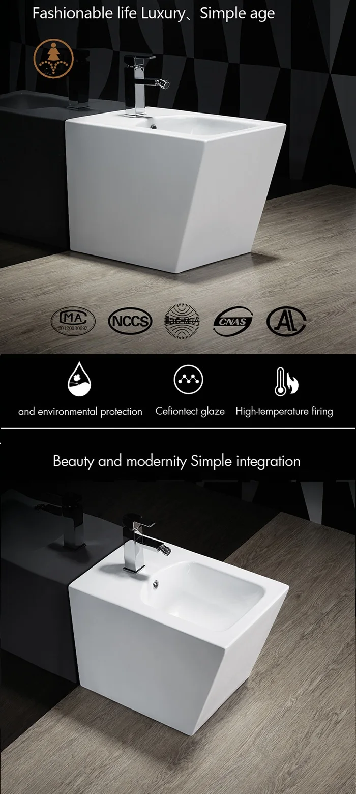 bidet toilet (7).jpg