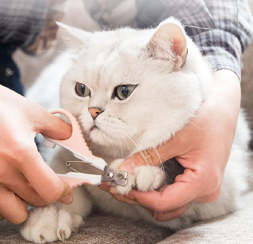 

Wholesale Pet Nail for Small Animals Cat Nail scissors Claw Trimmer for Home Grooming Kit Professional Grooming Tool