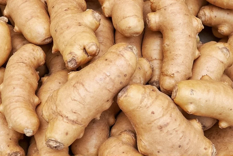 Fresh ginger root selection guide showing firm, smooth rhizomes with tight skin
