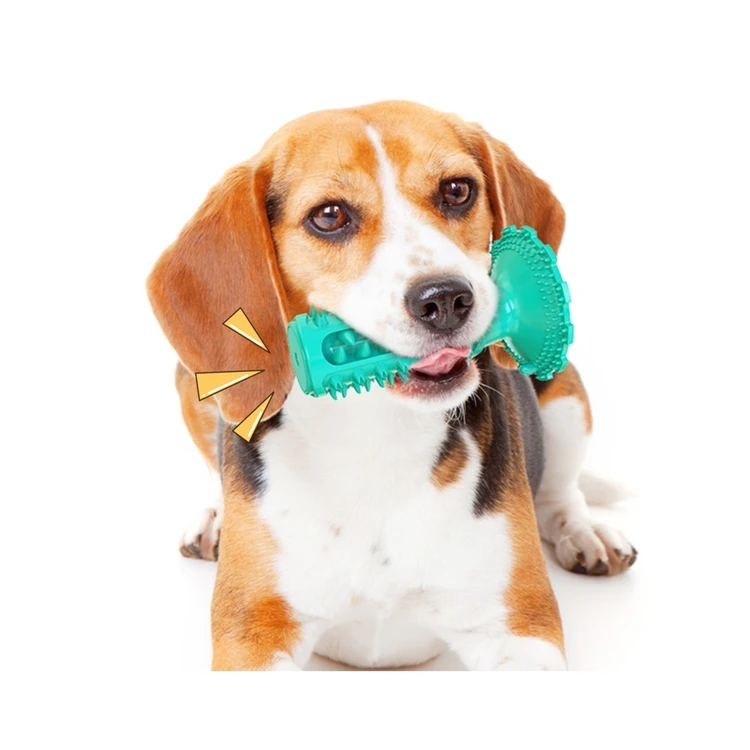 

Low Price Of Brand New Molar Stick Bite Resistant Dog Toothbrush