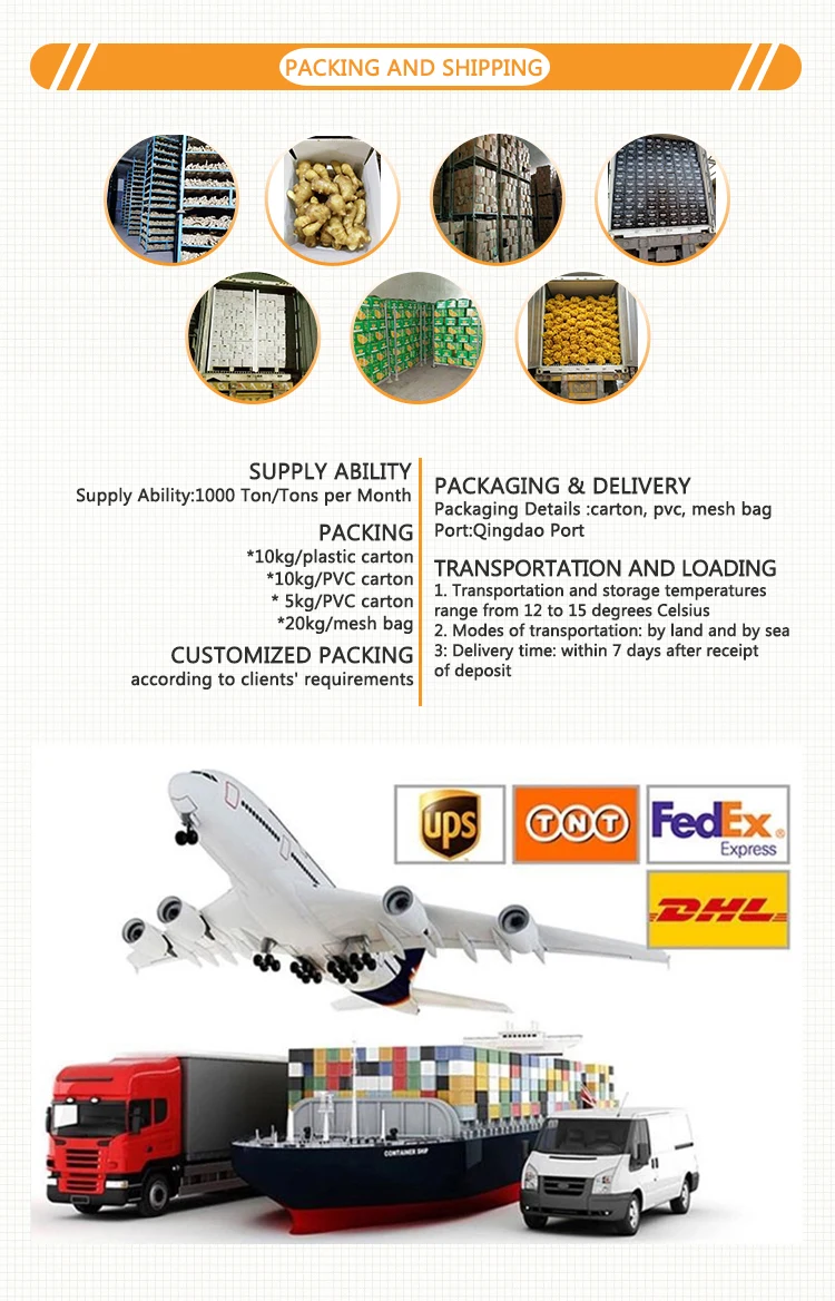 Red/yellow onion fresh wholesale price pack in mesh bag,TS-ONION063, for wholesale onions, Onion Wholesalers, Onion Bags