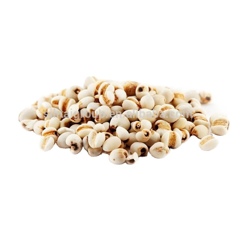 
Chinese Medicinal Materials Coix Seeds 