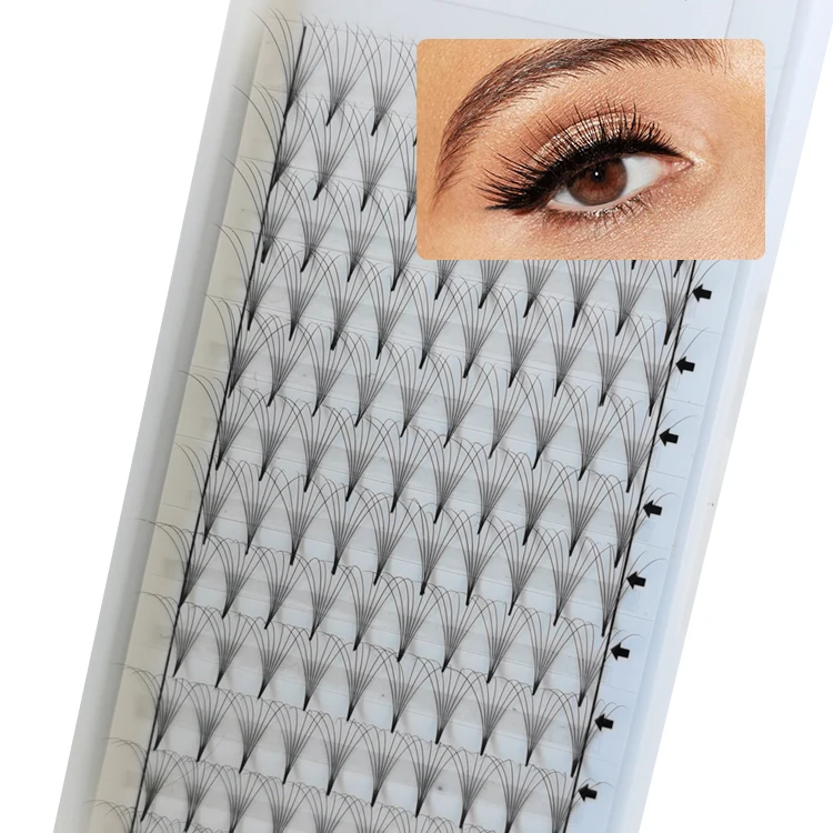 

Wholesale Bloom Freely Volume Lashes 3D 4D 5D 6D 10D short steam Cluster Eyelashes extensions 0.05 C D curl