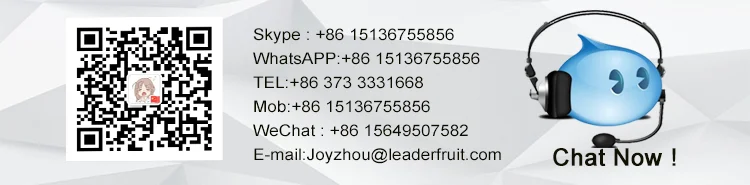 GZV series miniature Electromagnetic vibration feeder with continuous vibrating