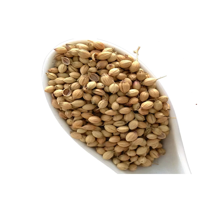 
Bulk Coriander Seed In Best Wholesale Price 