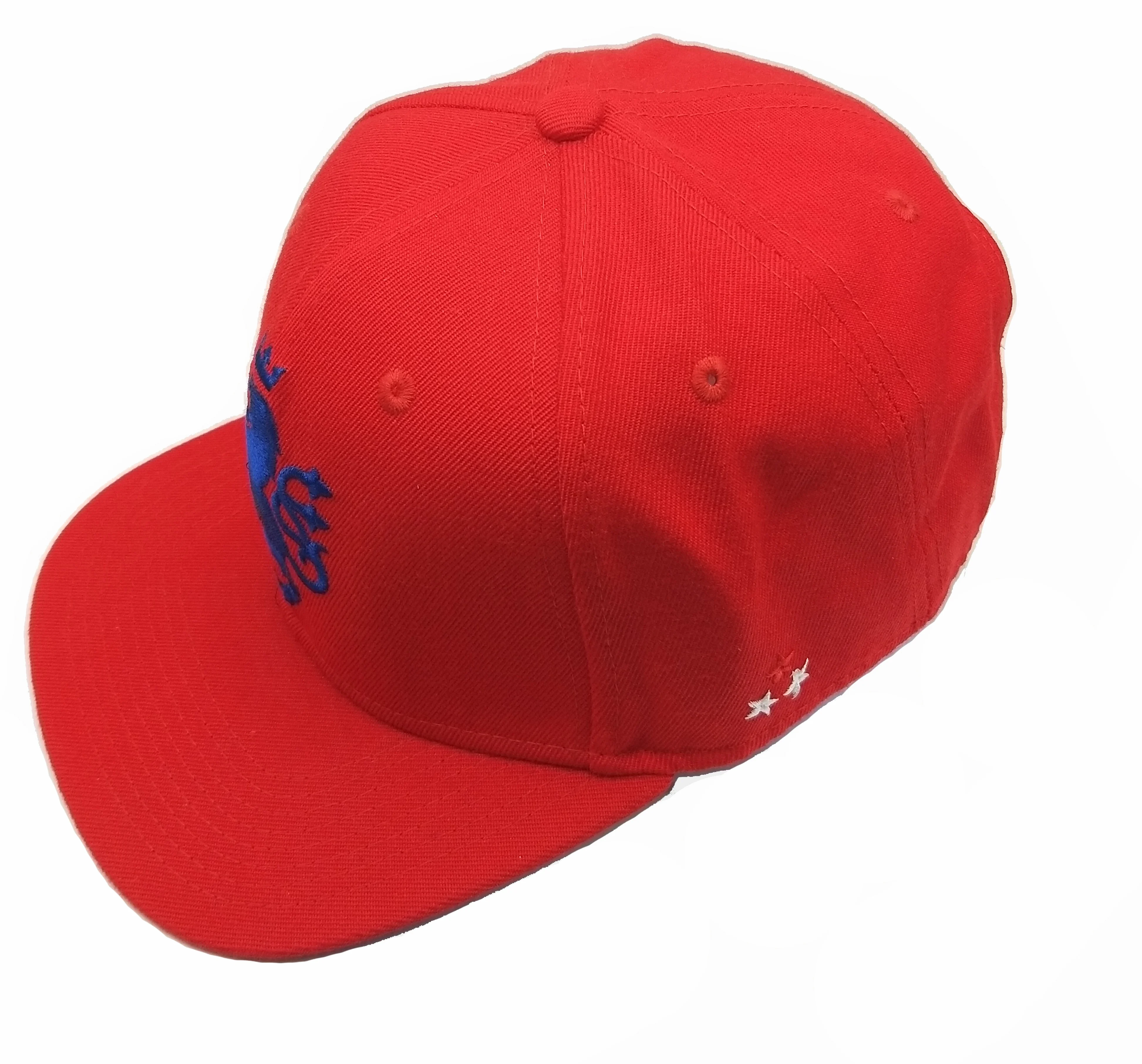 

Wholesale Embroidery Custom Cap, 100% cotton Baseball Hat, Custom Baseball Cap, Custom color