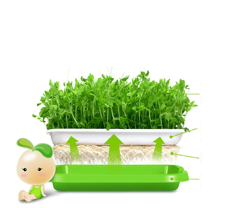 

DD541 Garden Farm Durable Sprout Seed Float Trays Gridding Plant Vegetables Tub Flower Growing Seedling Nursery Tray With Cover, 4 colors
