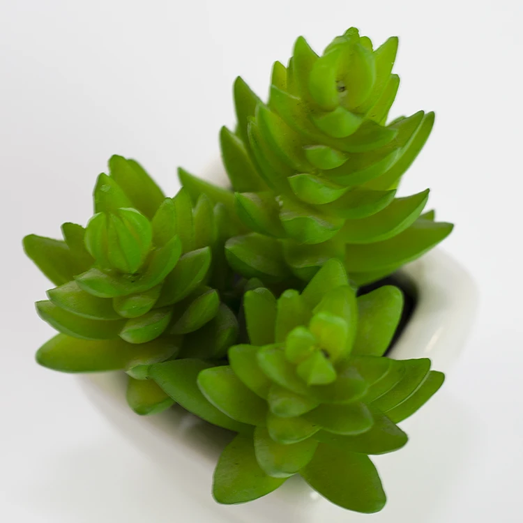 popular green home decoration mini artificial plastic succulent