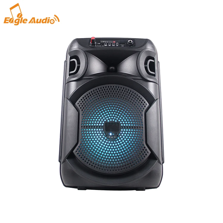 

New Private Recharge Battery Portable Wireless 8 inch Plastic Speakers