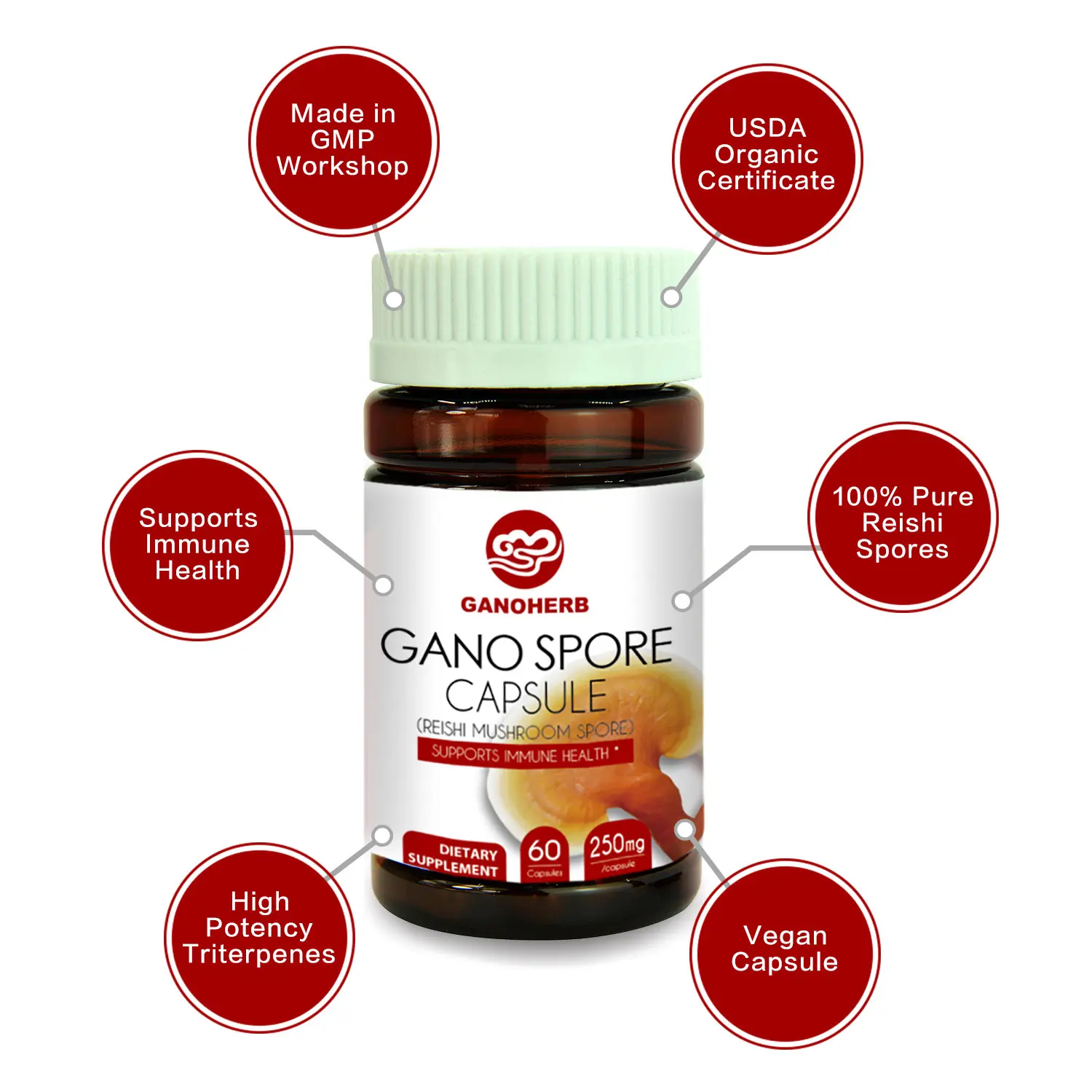 
Herbal supplement GanoHerb Immunity booster Organic Ganoderma Lucidum Capsules 