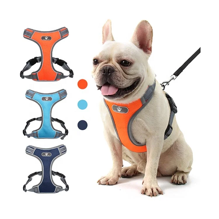 

Sohpety Durable Pet Chest Back Oxford Cloth Training Soft Adjustable Vest Harness Dog Collar Leash Set, Light blue,orange,blue