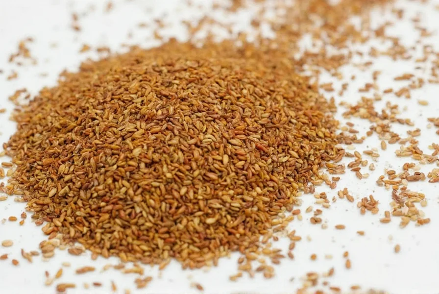Anatto Seed