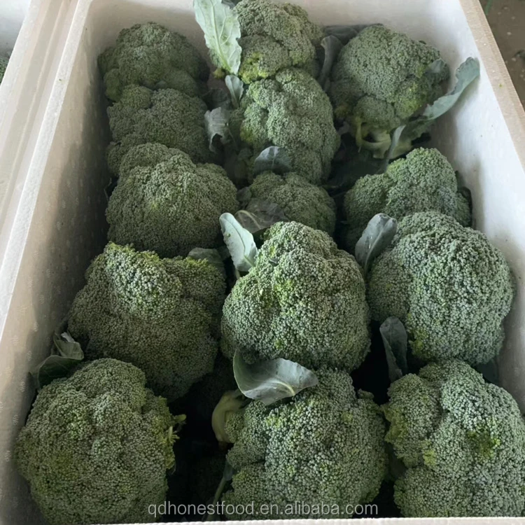 mmexport1596447719448