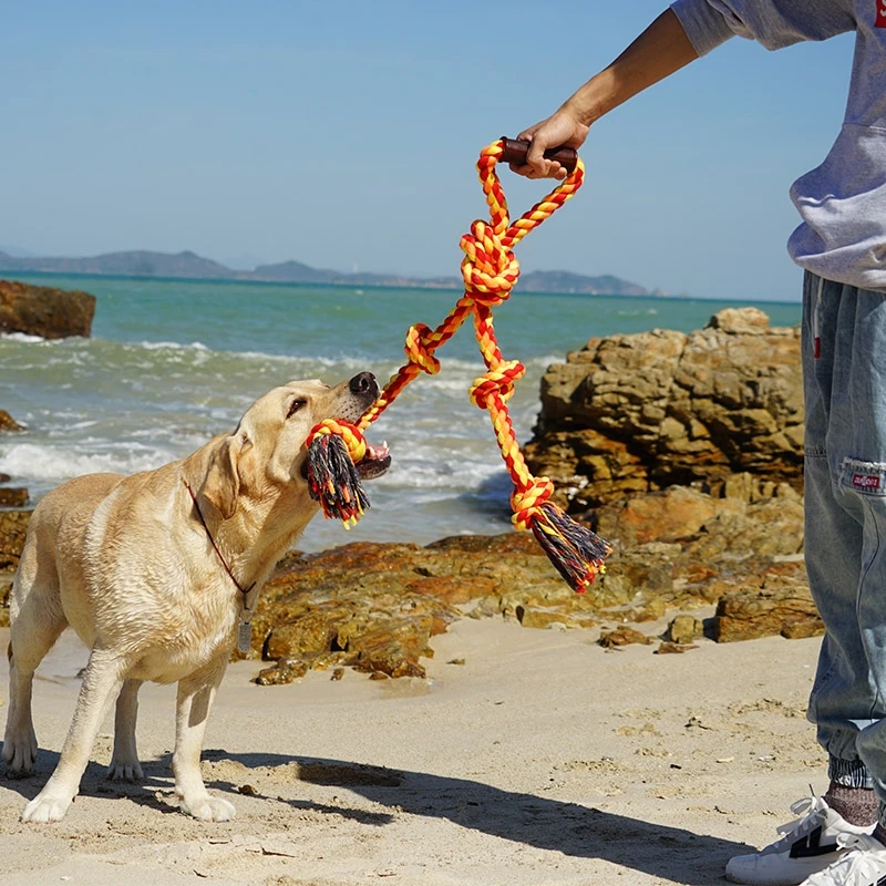 

Eco-Friendly Training Fancy Washable Toy Pet Toys Chew Pet Toy Rope