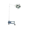 Names of Hospital Instruments Fixed Brightness Surgical Examination Light for Dental