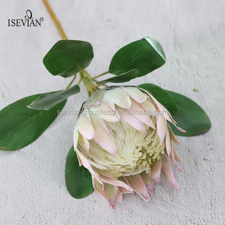 Isevian Fabric King Protea花人造花protea King Protea花家居和婚礼装饰 Buy 织物国王protea花 人 造花protea 国王protea花product On Alibaba Com