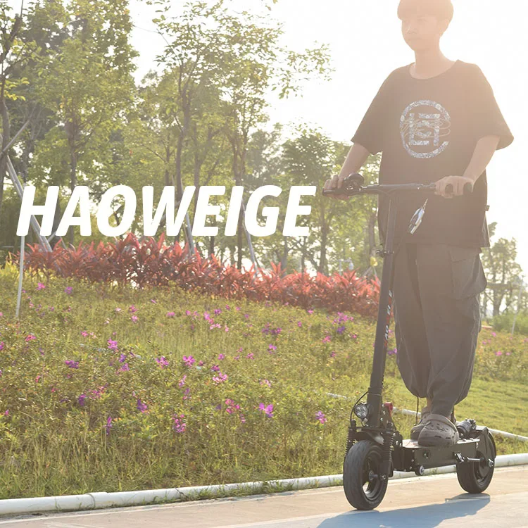 

Portable Adult Electric Scooter 52v High Power Double Motor Folding Scooter Ce 2400W 150kg Oil Brake HAOWEIGE 65km/h CN;GUA 70km