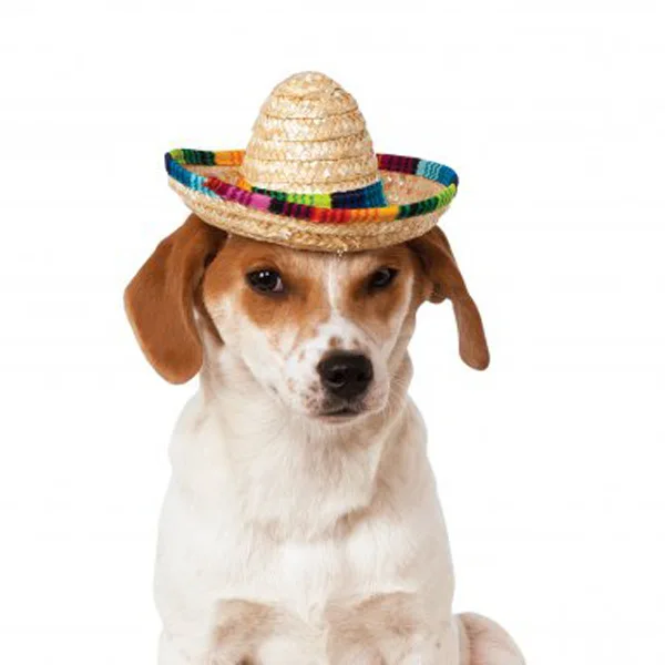 

Small Woven Cute Cats Dogs Toy Party Costumes Sombrero Mexican Pet Mini Straw Hat for Party Beach Style Pat Hat, Picture shows, accept customized