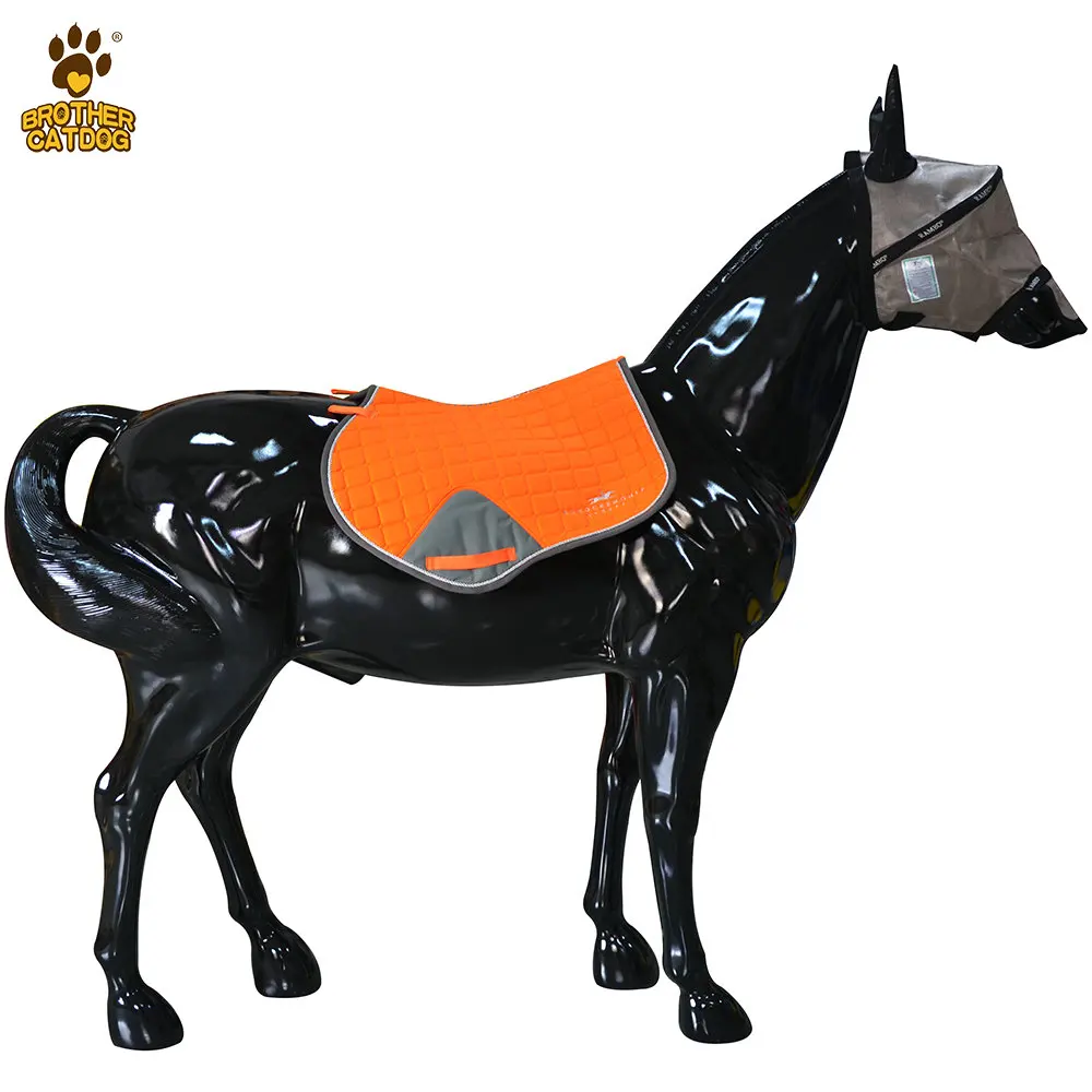 Horse Stall Mats Saddle Pad Horse Buy Horse Horse Paddock Horse Stall