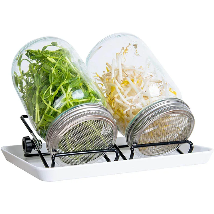 

Amazon Best Seller Kitchen Gadgets 2 Pack Large Complete Wide Mouth Mason Canning Jar Sprouting Set Kit with Lids, Transparent