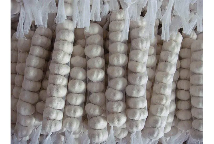garlic price.jpg