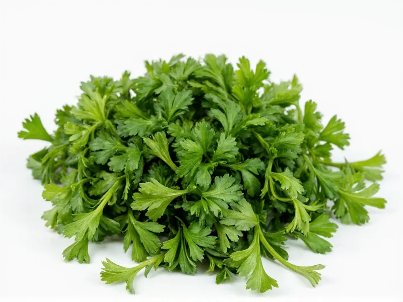 Dried to Fresh Parsley Conversion: 3:1 Ratio Explained