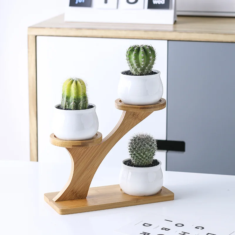 

Bamboo plate Succulent Pots Matt Finished Ceramic Nordic Mini Flower Pot Succulent Pots For Indoor, Natural bamboo color