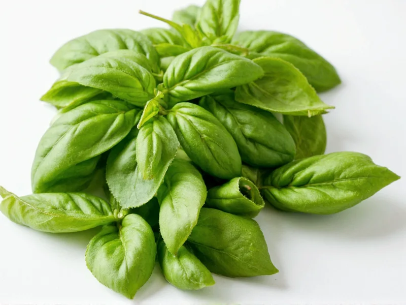 Dried Basil to Fresh Conversion: Exact Measurements Guide