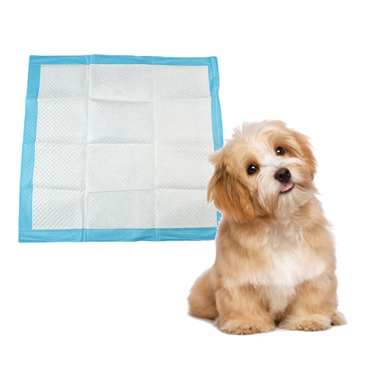 

Customize disposable training pad for pets dog urine pad dog pee pad pet training, Customized