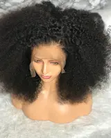 

100% virgin brazilian human hair wigs cheap afro kinky curly lace front wigs