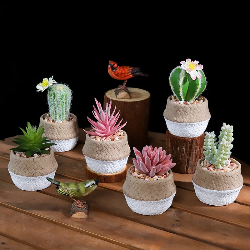 

Nordic simple cactus succulent potted flowerpot decoration home desktop potted simulation display artificial plant