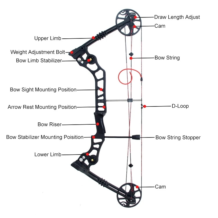 Latest Adult Carbon 20-70 Lbs Adjustable Hunting X8 Compound Cam Bows ...