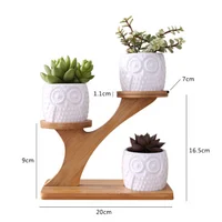 

Simple white creative succulent owl with treetop bamboo frame zakka combination potted ceramic plant pots