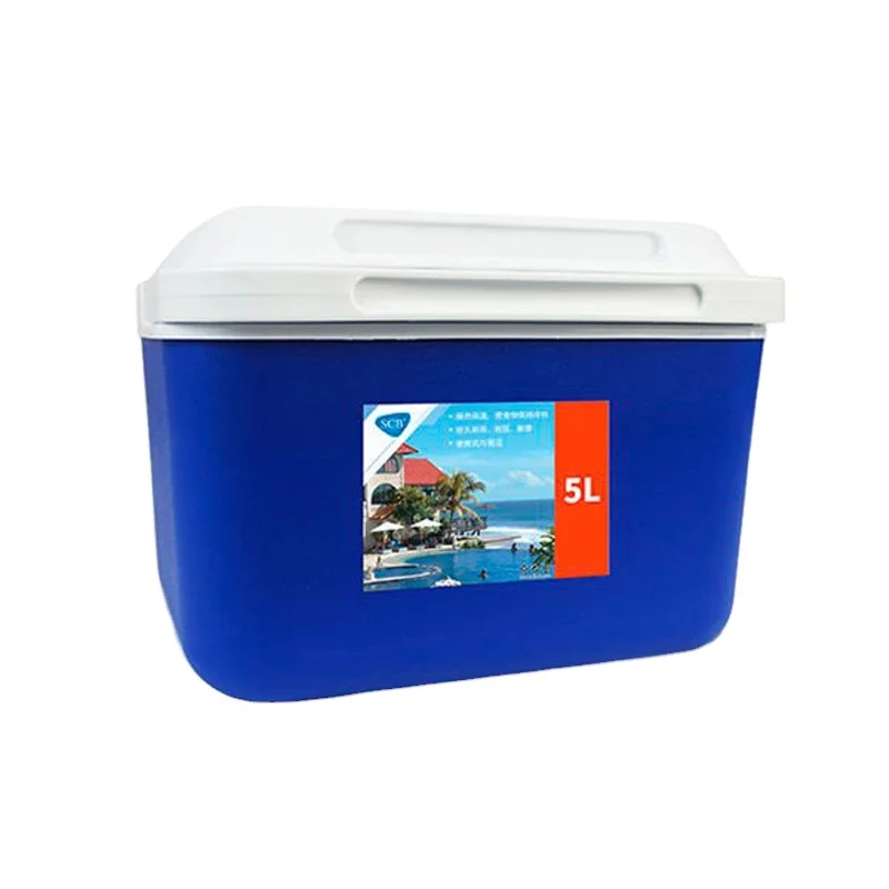 

5L mini cooler box with insulation foam for hot cold food transportation carrier box custom logo cold storage box, As per clients request