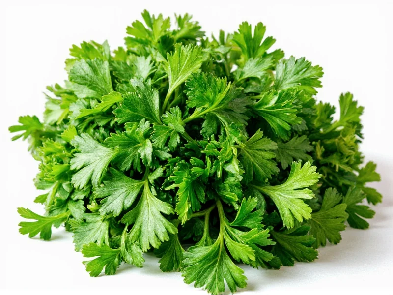 Fresh to Dried Parsley Ratio: 3:1 Conversion Guide