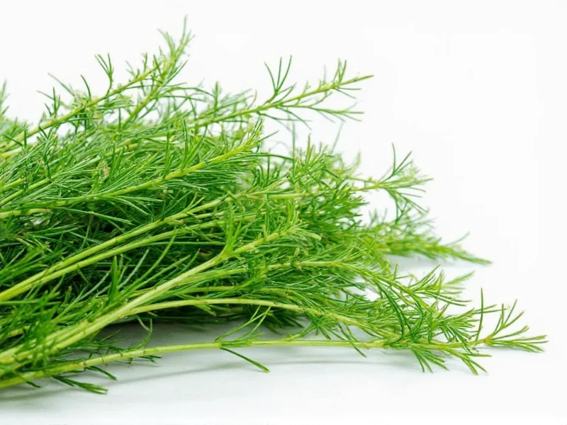 Can You Substitute Dill Seed for Dill Weed? Expert Guide