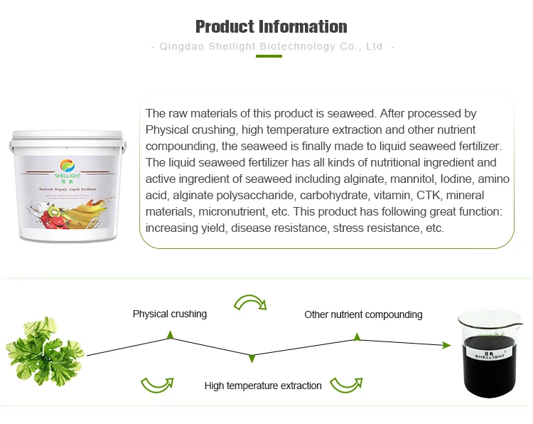 liquid seaweed fertilizer