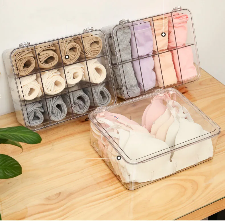 Large Underwear Storage Boxes Plastic Organizadores Bra Briefs Socks Sorting ILJ 